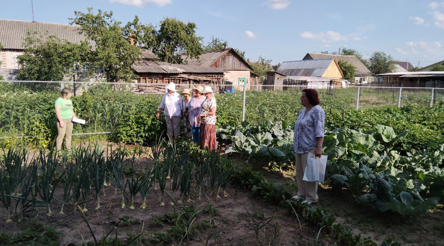 Новозыбковский клуб «Погребок» летом проводит занятия на садовых участках, дачах и огородах