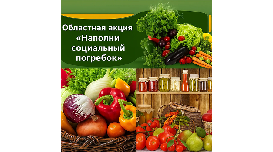 Новозыбковцев приглашают к участию в благотворительной акции «Наполни социальный погребок»