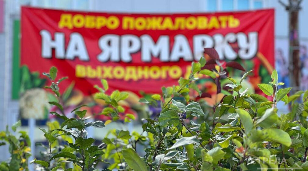 В Брянске прошла традиционная сельскохозяйственная ярмарка выходного дня