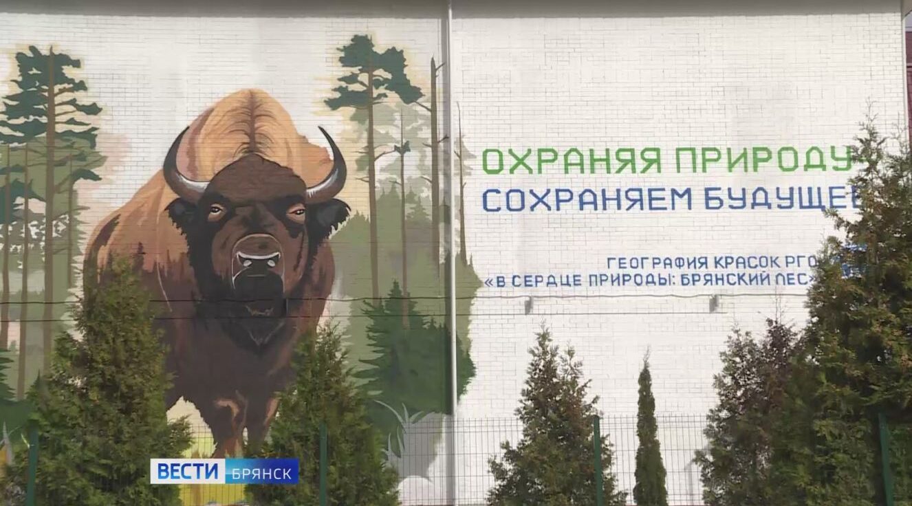 На здании брянской школы №59 появился мурал с заповедным зубром