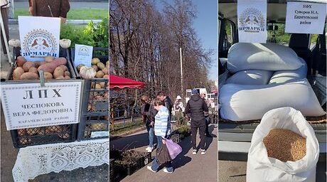 Ярмарки выходного дня пользуются спросом у брянцев