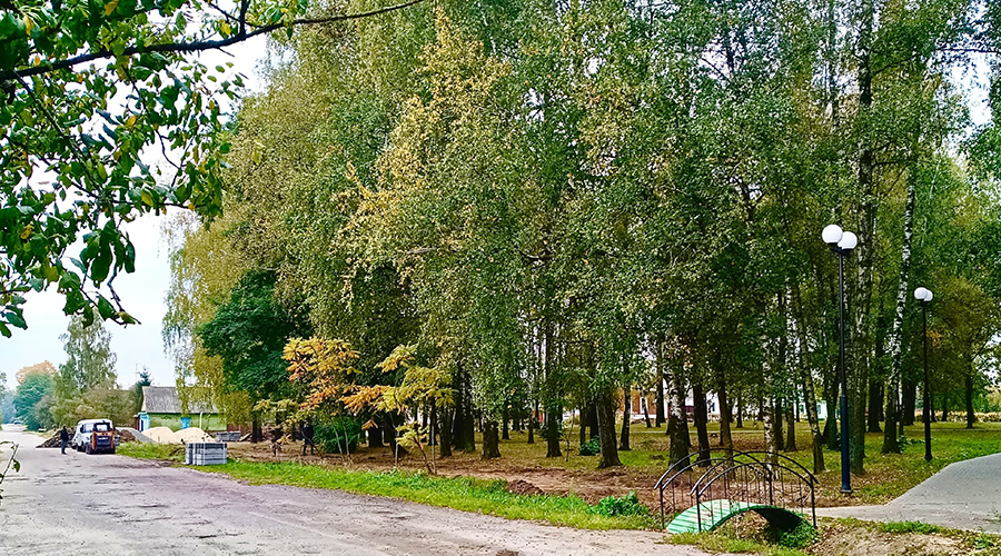 В Новозыбкове продолжают благоустраивать Березовую рощу