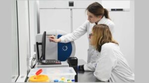 Подготовка профессионалов начинается в школе: экспертный доклад