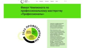 Брянцев приглашают на заключительный финал чемпионата по профмастерству «Профессионалы»