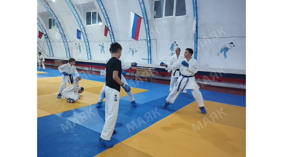 Около 500 юных новозыбковцев занимаются борьбой