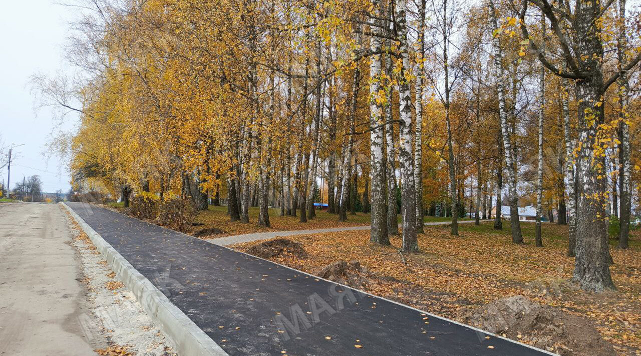 Асфальтные дорожки появились в новозыбковском сквере Березовая Роща