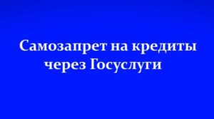 Брянцы могут установить самозапрет на кредиты через Госуслуги