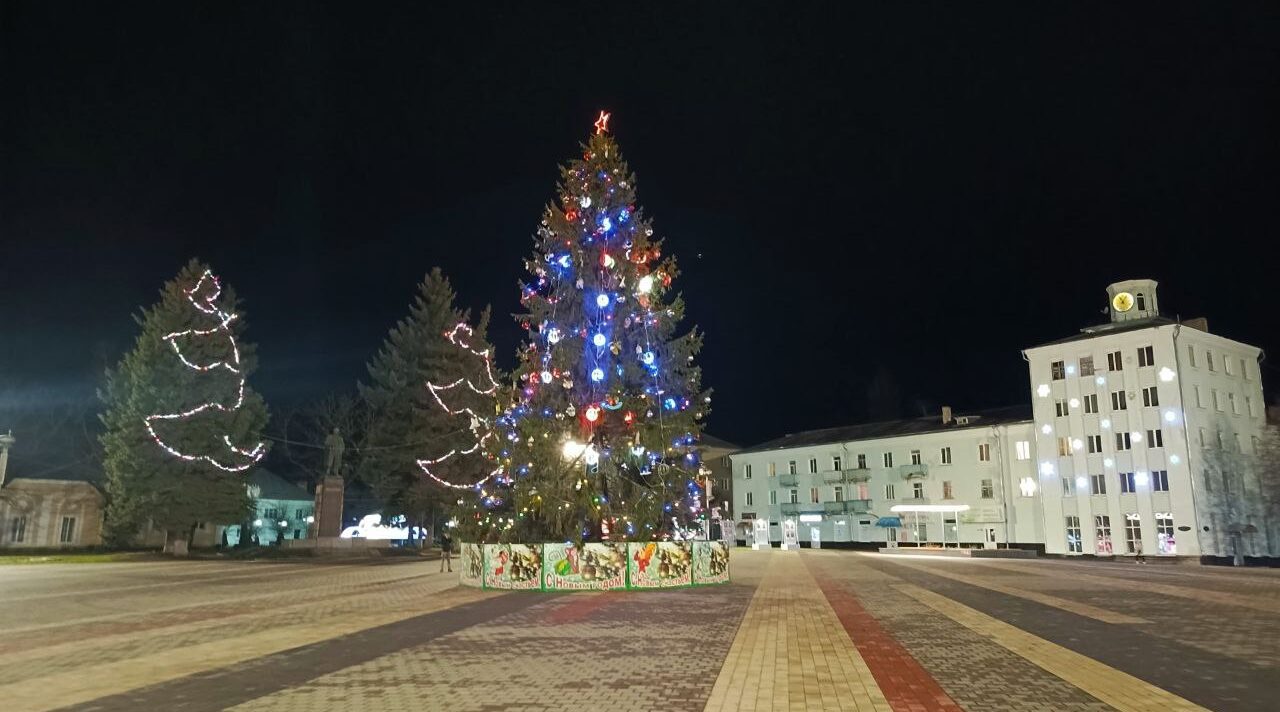 Новозыбковская ель примет участие во Всероссийском конкуре «Елки России»