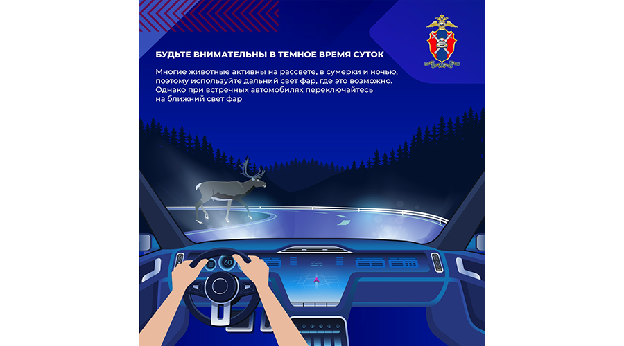 Госавтоинспекция МО МВД России «Новозыбковский» предупреждает водителей о диких животных на дорогах