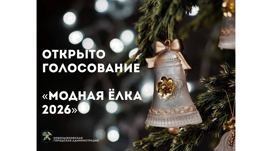 В Новозыбкове идет голосование за «Модную елку-2026»