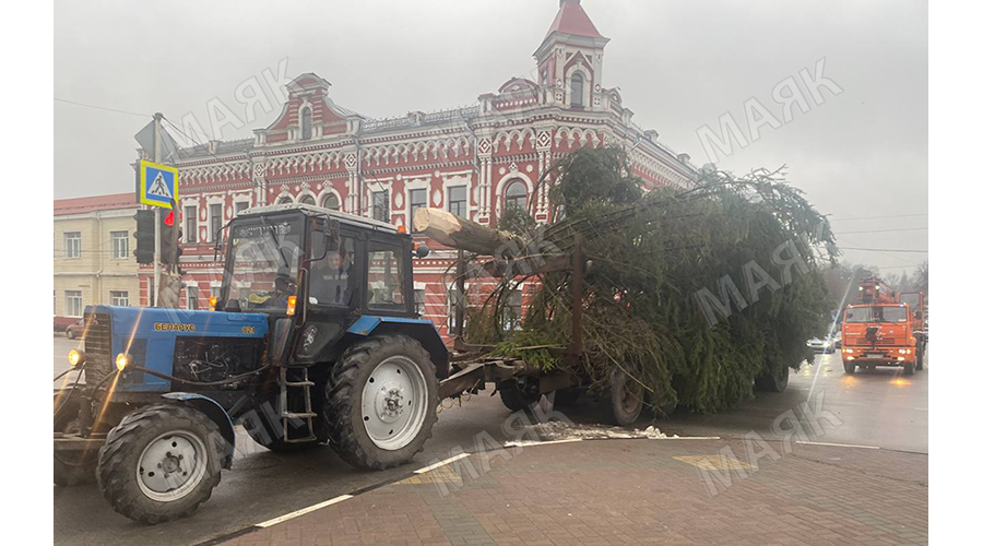 На главную площадь Новозыбкова привезли новогоднюю ель
