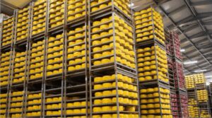 Брянское предприятие стало новым участником Федерального проекта «Производительность труда»