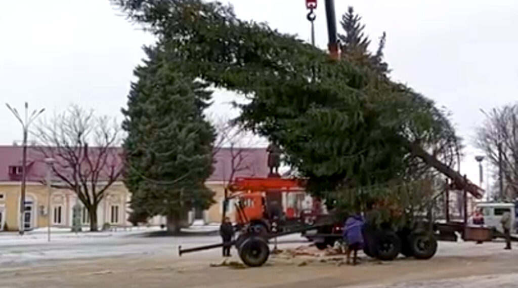 Новогодняя ель украсит центральную площадь Новозыбкова во второй половине декабря