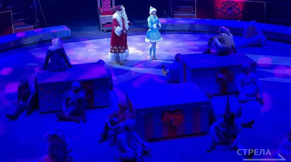 В Брянске проходит цирковое представление для детей участников спецоперации