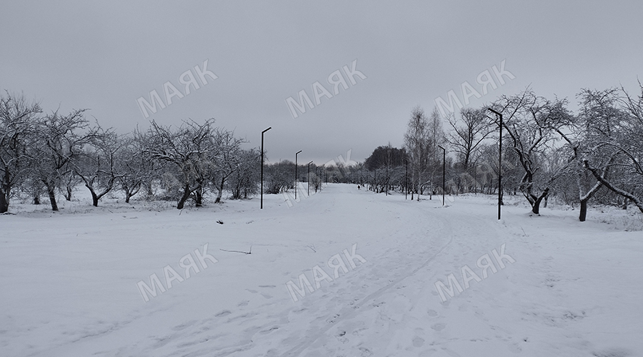 В Новозыбкове лыжники выйдут на спартакиаду