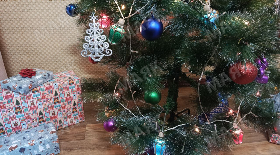 Новозыбковские дошколята рассказывают, что хотели бы подарить родителям на Новый год