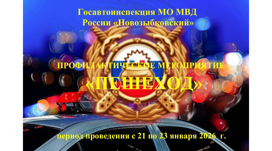 МО МВД России «Новозыбковский» проведет оперативно-профилактическое мероприятие «Пешеход»