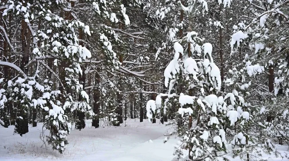 Брянцы отмечают Крещенский сочельник