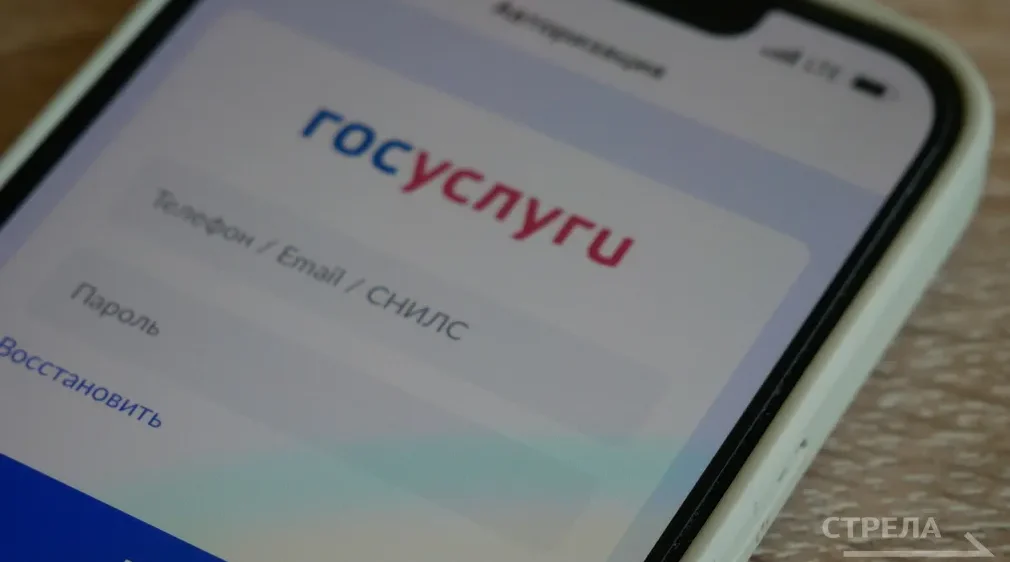 Приложение «Госуслуги.Дом» помогает брянцам не переплачивать за коммуналку