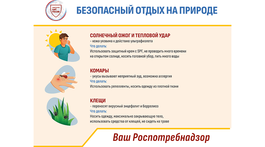 Новозыбковцам напоминают о мерах предосторожности при походах в лес