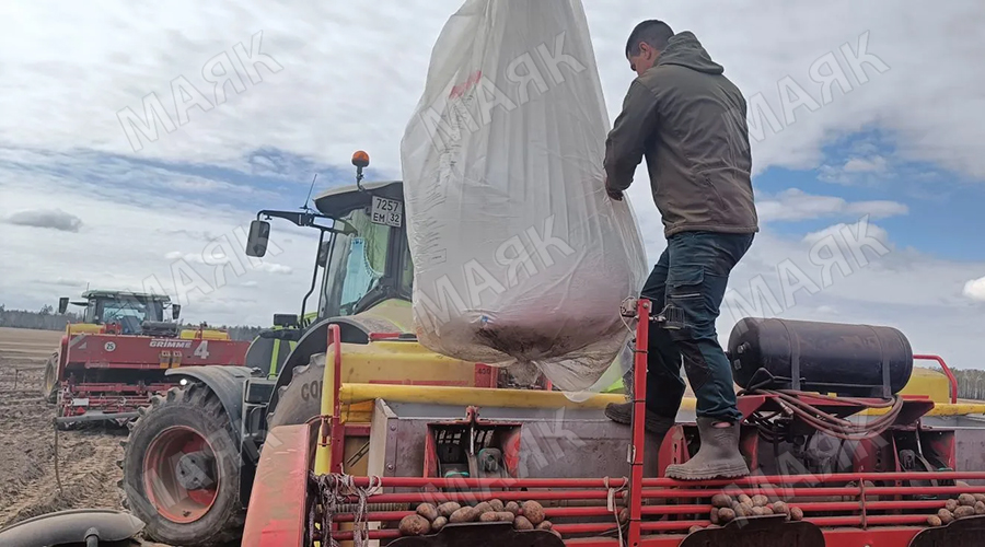 Весенне-полевые работы в Новозыбковском городском округе близятся к завершению