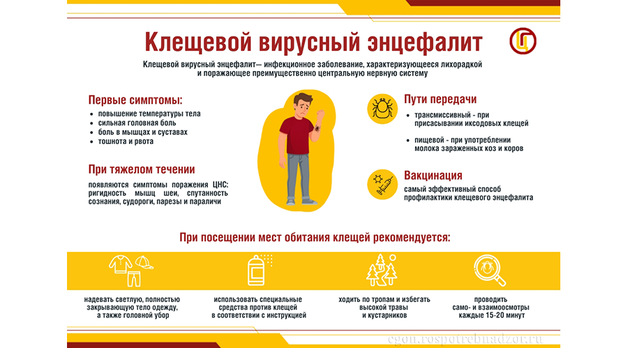 Новозыбковские медики рассказали о профилактике клещевого энцефалита