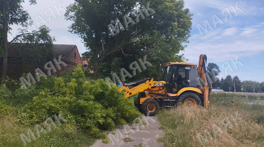 В Новозыбкове началась подготовка к благоустройству набережной пруда