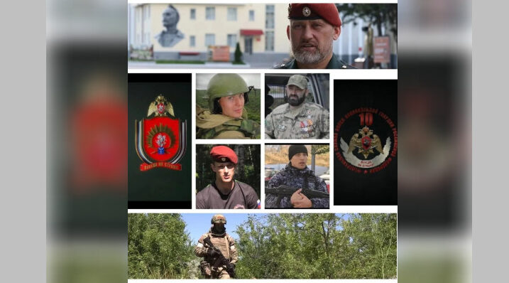 Ко Дню России Росгвардия и оргкомитет фестиваля «Братина» проводят показ фильмов о героях СВО