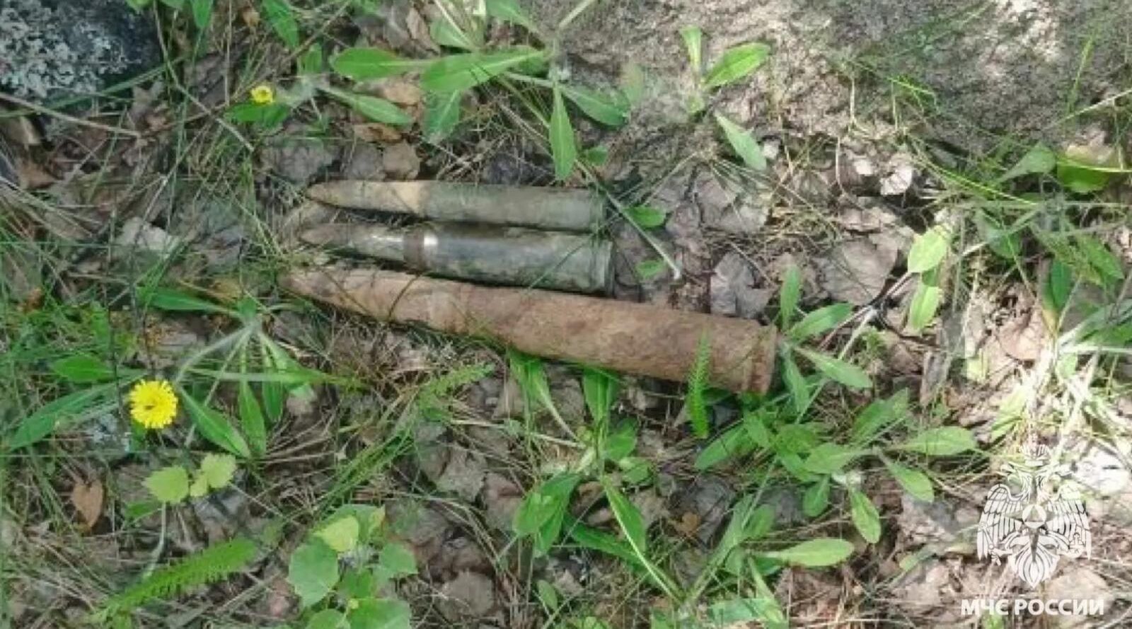 В Новозыбкове утилизированы боеприпасы