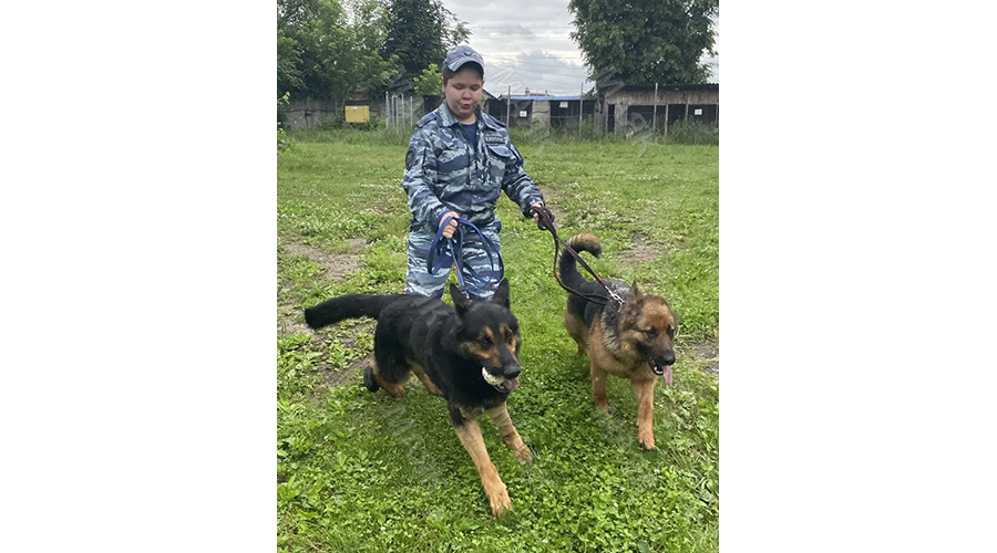 Верные друзья и чуткие напарники помогают новозыбчанке Анастасии Квач нести службу
