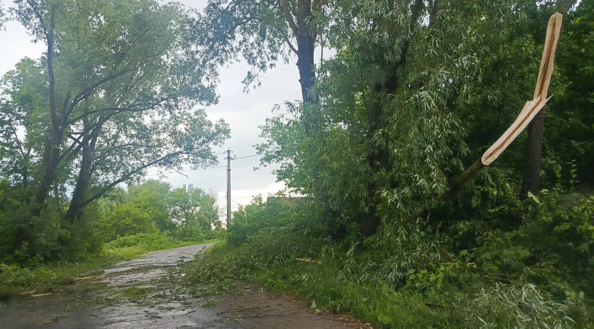В Новозыбкове устраняли последствия непогоды