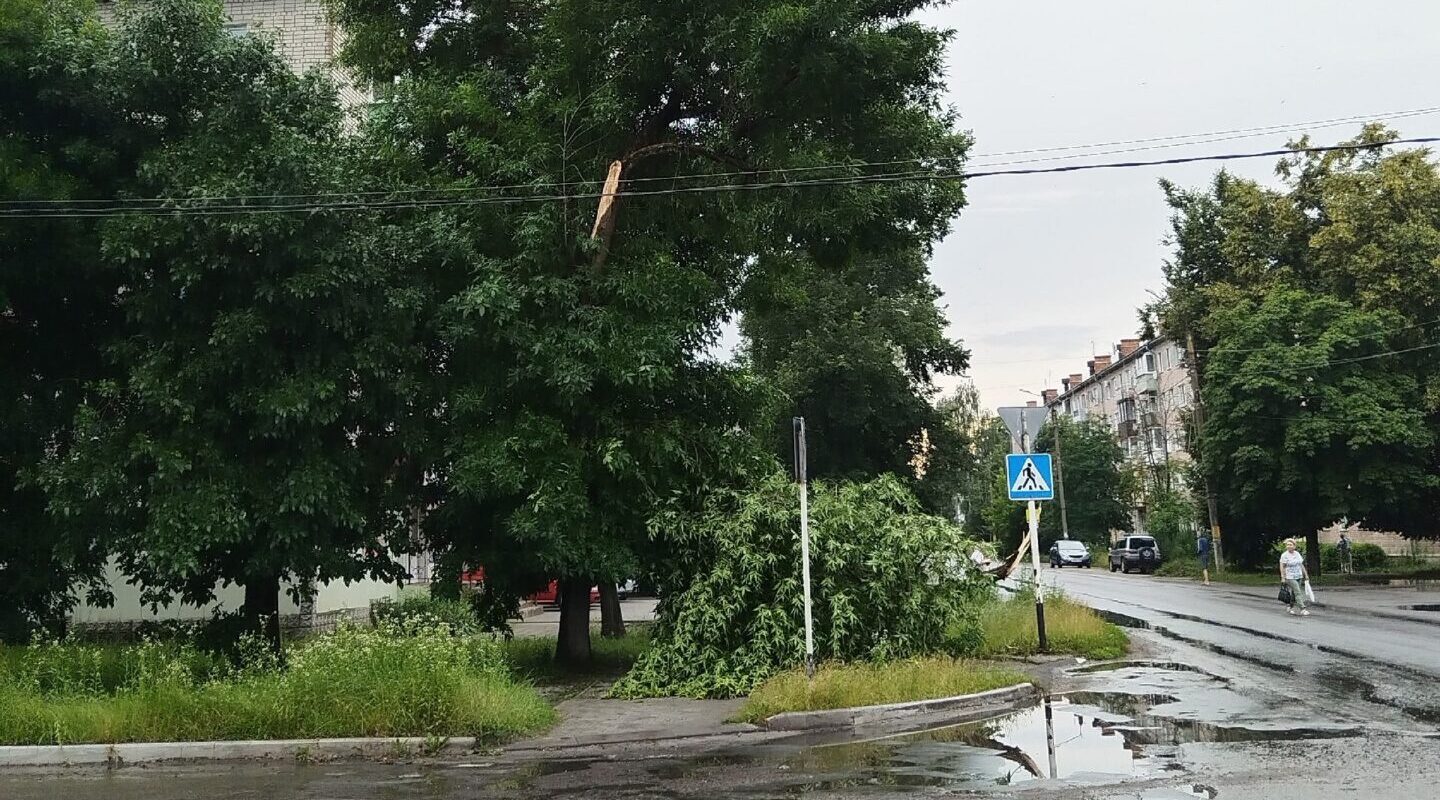 В Новозыбкове оперативно устраняли последствия непогоды