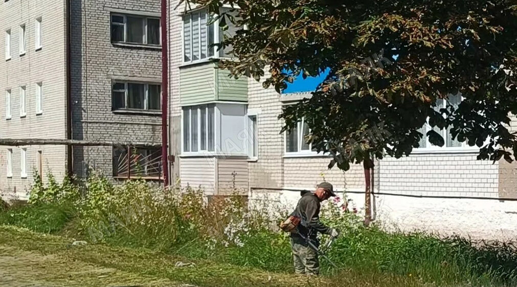 В Новозыбкове продолжаются работы по благоустройству