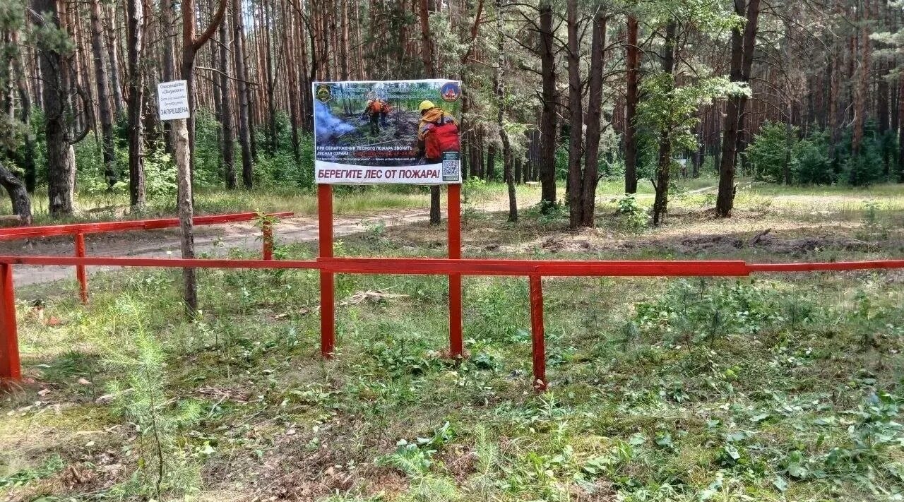 В Брянской области провели устройство новых минерализованных полос на 153,97 км