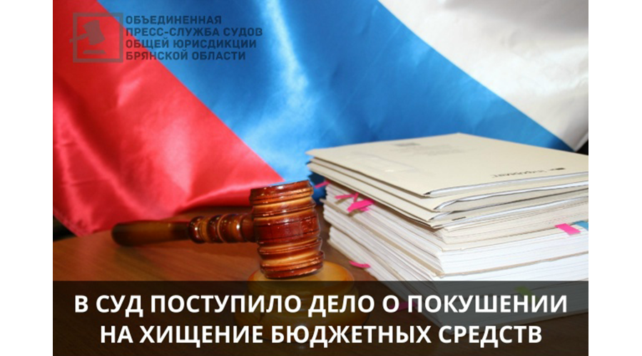 На мошенничестве с миллионами попались новозыбковец и москвич