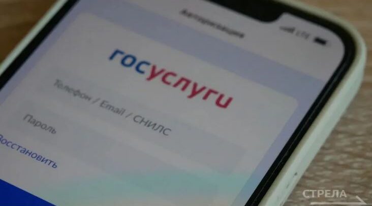 «Госуслуги Дом» облегчит приемку работ в МКД для брянцев