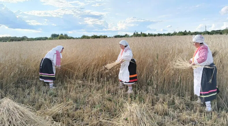В Катичском Доме культуры возродили старинный обряд «Зажинки»