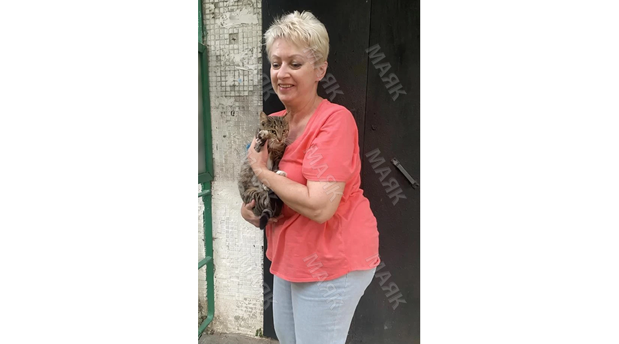 Новозыбчанка с большим сердцем помогает бездомным котам