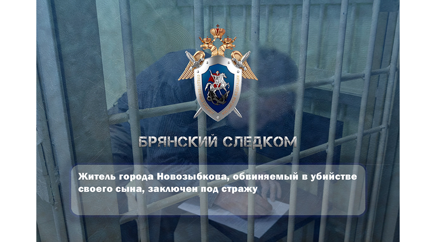 Новозыбковца обвиняют в убийстве сына