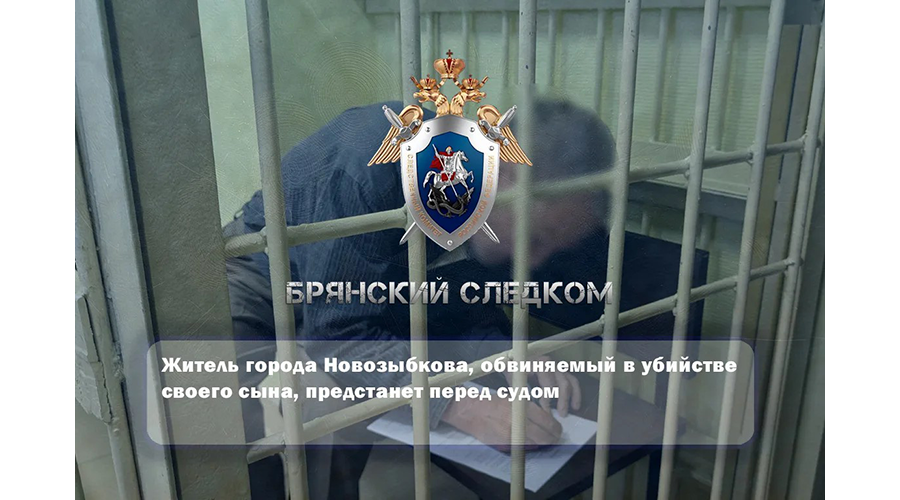 Житель Новозыбкова, обвиняемый в убийстве своего сына, предстанет перед судом