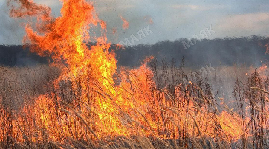 В Новозыбкове дом сгорел из-за неосторожного пала травы