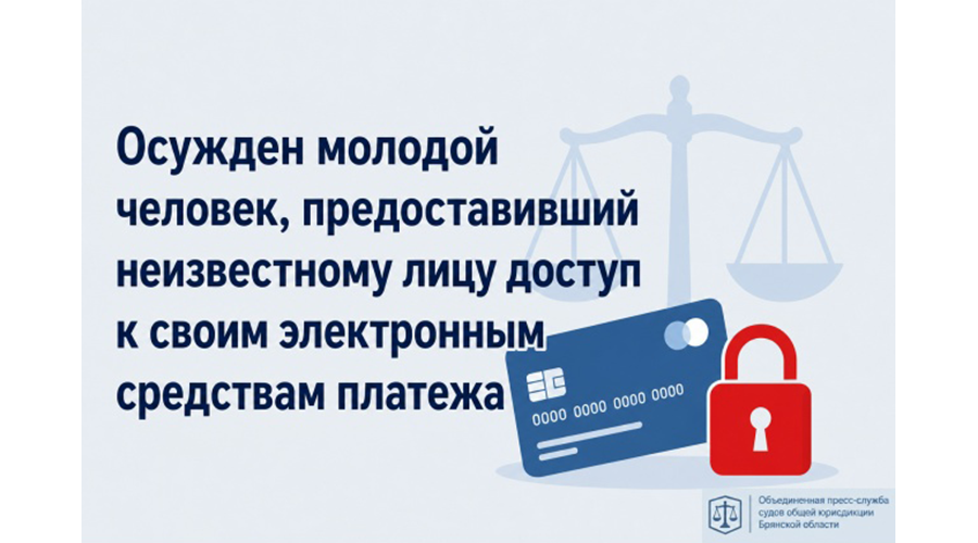 Новозыбковца оштрафовали за предоставление доступа к счетам