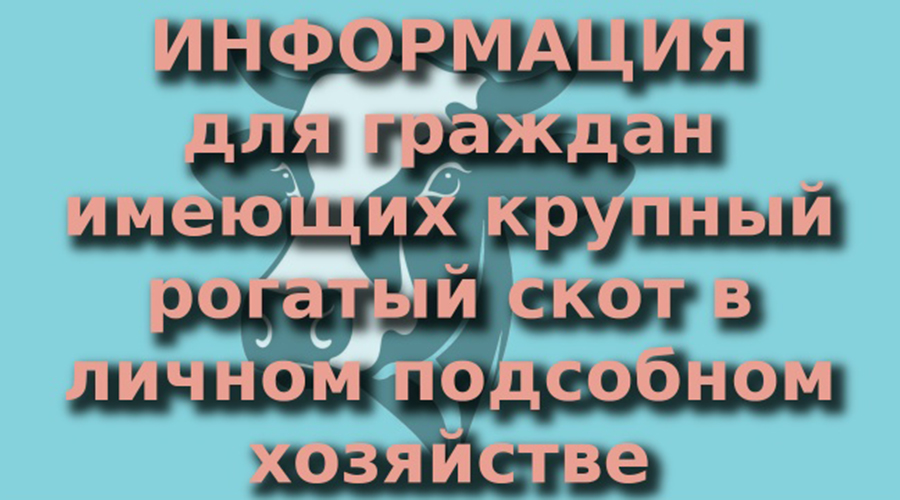 Новозыбковские ветеринары впервые проведут вакцинацию КРС против узелкового дерматита