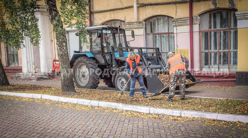 Брянские дорожники убирают опавшую листву